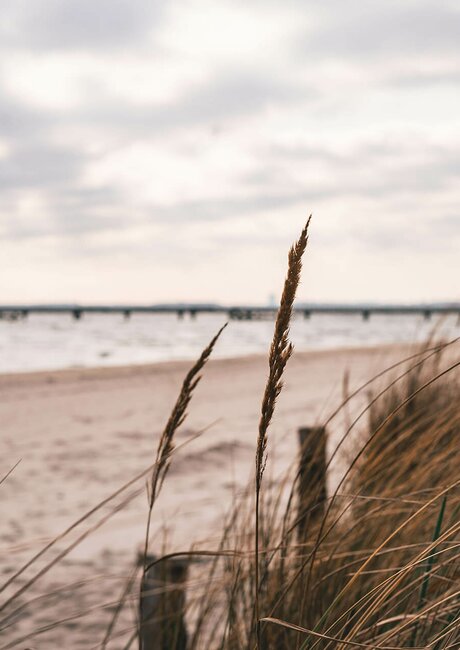 Ostseestrand bei Scharbeutz