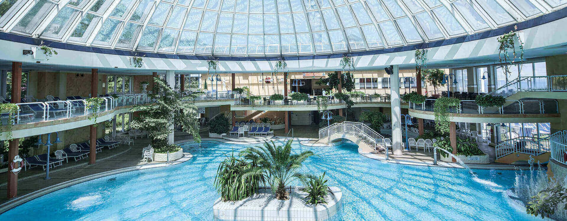 Ein Paradies für Wasserfrösche